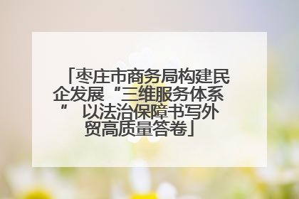 枣庄市商务局构建民企发展“三维服务体系” 以法治保障书写外贸高质量答卷
