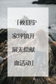 攸县宁家坪镇开展无偿献血活动