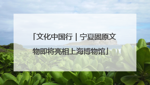 文化中国行｜宁夏固原文物即将亮相上海博物馆