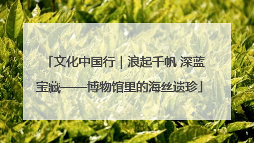 文化中国行｜浪起千帆 深蓝宝藏——博物馆里的海丝遗珍