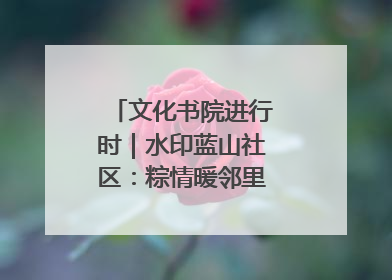 文化书院进行时｜水印蓝山社区：粽情暖邻里，端午共安康