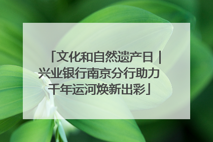 文化和自然遗产日｜兴业银行南京分行助力千年运河焕新出彩