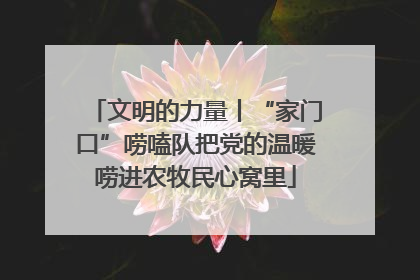 文明的力量丨“家门口”唠嗑队把党的温暖唠进农牧民心窝里