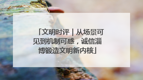 文明时评｜从场景可见到机制可感，诚信淄博锻造文明新内核