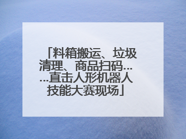 料箱搬运、垃圾清理、商品扫码……直击人形机器人技能大赛现场
