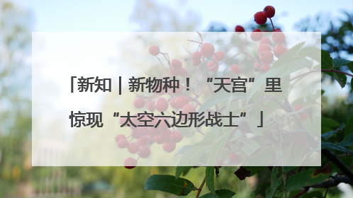 新知｜新物种！“天宫”里惊现“太空六边形战士”