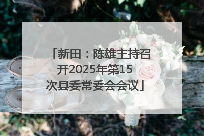 新田：陈雄主持召开2025年第15次县委常委会会议