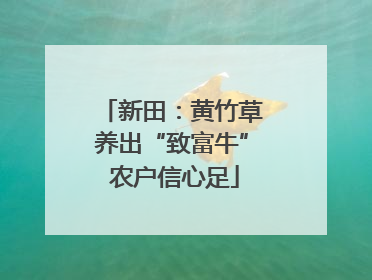 新田：黄竹草养出“致富牛” 农户信心足