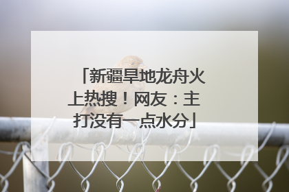 新疆旱地龙舟火上热搜！网友：主打没有一点水分