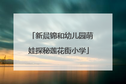 新晨锦和幼儿园萌娃探秘莲花街小学