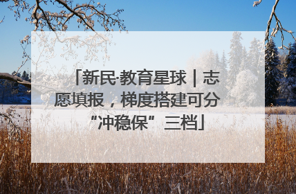 新民·教育星球｜志愿填报，梯度搭建可分“冲稳保”三档