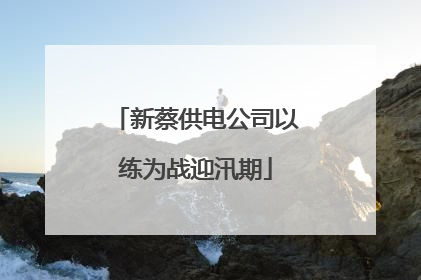新蔡供电公司以练为战迎汛期