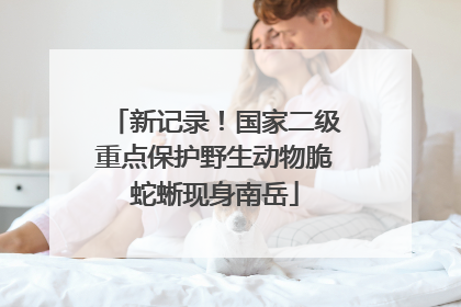 新记录！国家二级重点保护野生动物脆蛇蜥现身南岳