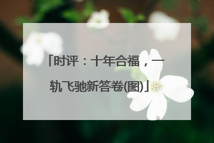 时评：十年合福，一轨飞驰新答卷(图)