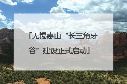 无锡惠山“长三角牙谷”建设正式启动