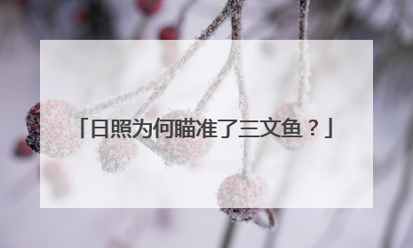 日照为何瞄准了三文鱼？