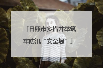 日照市多措并举筑牢防汛“安全堤”