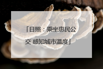 日照：乘坐惠民公交 感知城市温度