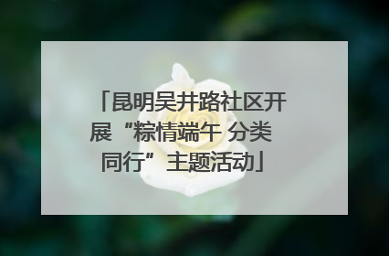 昆明吴井路社区开展“粽情端午 分类同行”主题活动