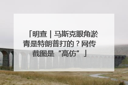 明查｜马斯克眼角淤青是特朗普打的？网传截图是“高仿”