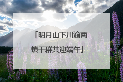 明月山下川渝两镇干群共迎端午