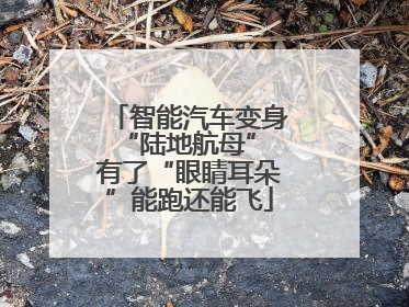 智能汽车变身“陆地航母” 有了“眼睛耳朵”能跑还能飞