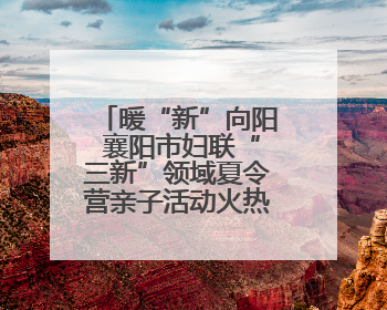 暖“新”向阳 襄阳市妇联“三新”领域夏令营亲子活动火热开展