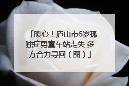 暖心！庐山市6岁孤独症男童车站走失 多方合力寻回（图）