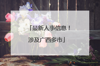 最新人事信息！涉及广西多市