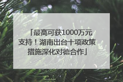 最高可获1000万元支持！湖南出台十项政策措施深化对德合作