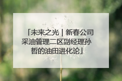 未来之光｜新春公司采油管理二区副经理孙哲的油田进化论
