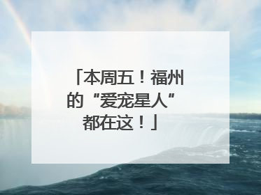 本周五！福州的“爱宠星人”都在这！