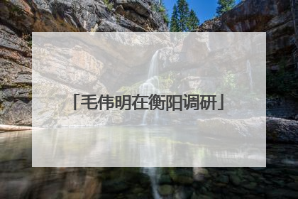 毛伟明在衡阳调研