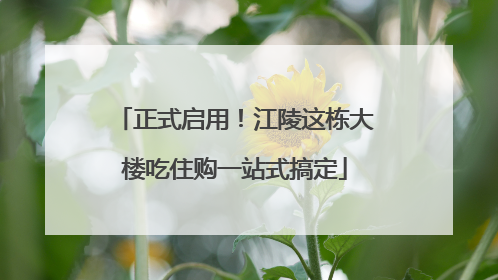 正式启用！江陵这栋大楼吃住购一站式搞定