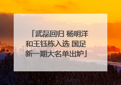 武磊回归 杨明洋和王钰栋入选 国足新一期大名单出炉