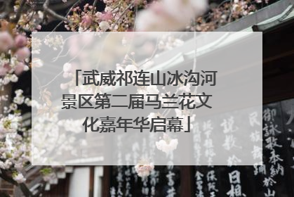 武威祁连山冰沟河景区第二届马兰花文化嘉年华启幕