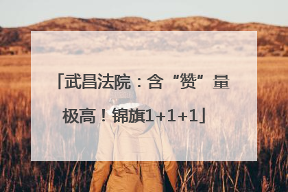 武昌法院：含“赞”量极高！锦旗1+1+1