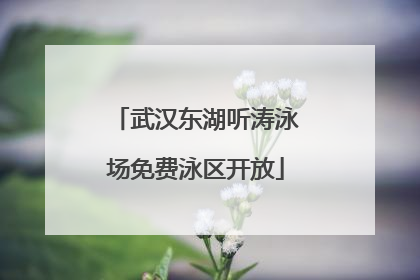 武汉东湖听涛泳场免费泳区开放