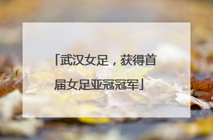武汉女足，获得首届女足亚冠冠军