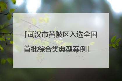 武汉市黄陂区入选全国首批综合类典型案例