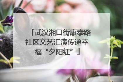 武汉湘口街康泰路社区文艺汇演传递幸福“夕阳红”