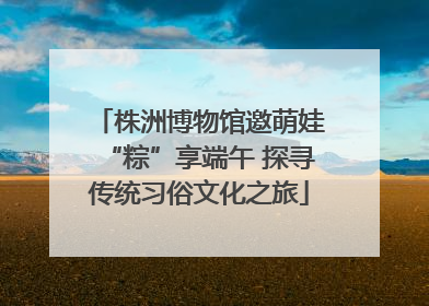 株洲博物馆邀萌娃“粽”享端午 探寻传统习俗文化之旅
