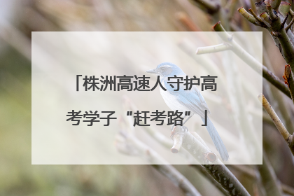 株洲高速人守护高考学子“赶考路”