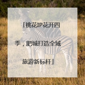 桃花IP花开四季，肥城打造全域旅游新标杆