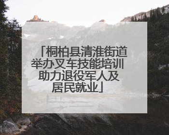 桐柏县清淮街道举办叉车技能培训 助力退役军人及居民就业