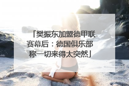 樊振东加盟德甲联赛幕后：德国俱乐部称一切来得太突然