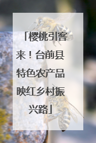 樱桃引客来！台前县特色农产品映红乡村振兴路