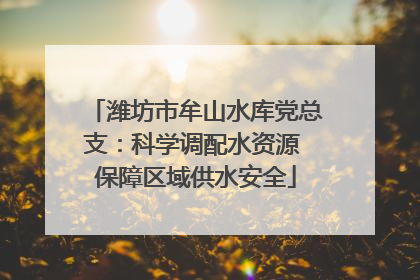 潍坊市牟山水库党总支：科学调配水资源 保障区域供水安全