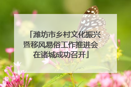 潍坊市乡村文化振兴暨移风易俗工作推进会在诸城成功召开