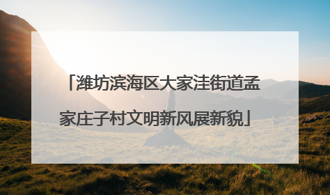 潍坊滨海区大家洼街道孟家庄子村文明新风展新貌